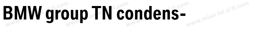 BMW group TN condens字体转换